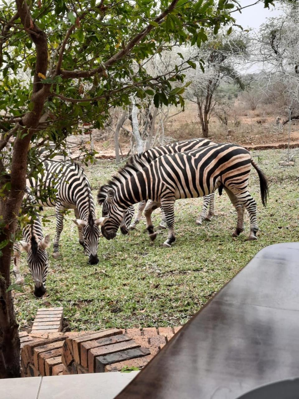 Kruger Riverside Lodge - No Load-Shedding 玛洛斯帕克 外观 照片