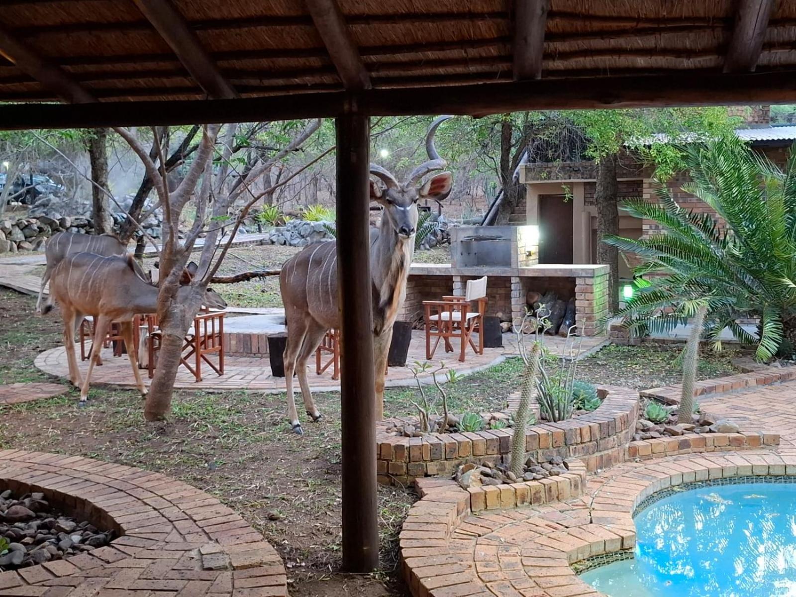 Kruger Riverside Lodge - No Load-Shedding 玛洛斯帕克 外观 照片
