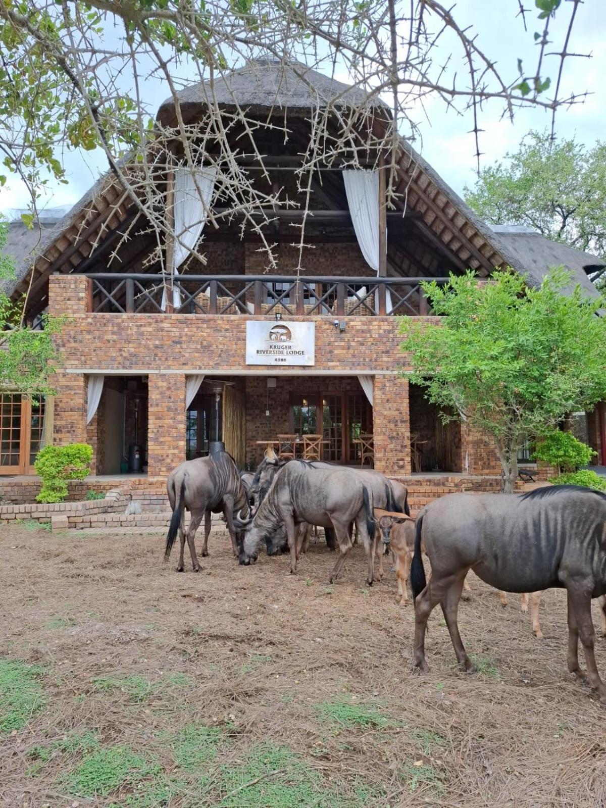 Kruger Riverside Lodge - No Load-Shedding 玛洛斯帕克 外观 照片