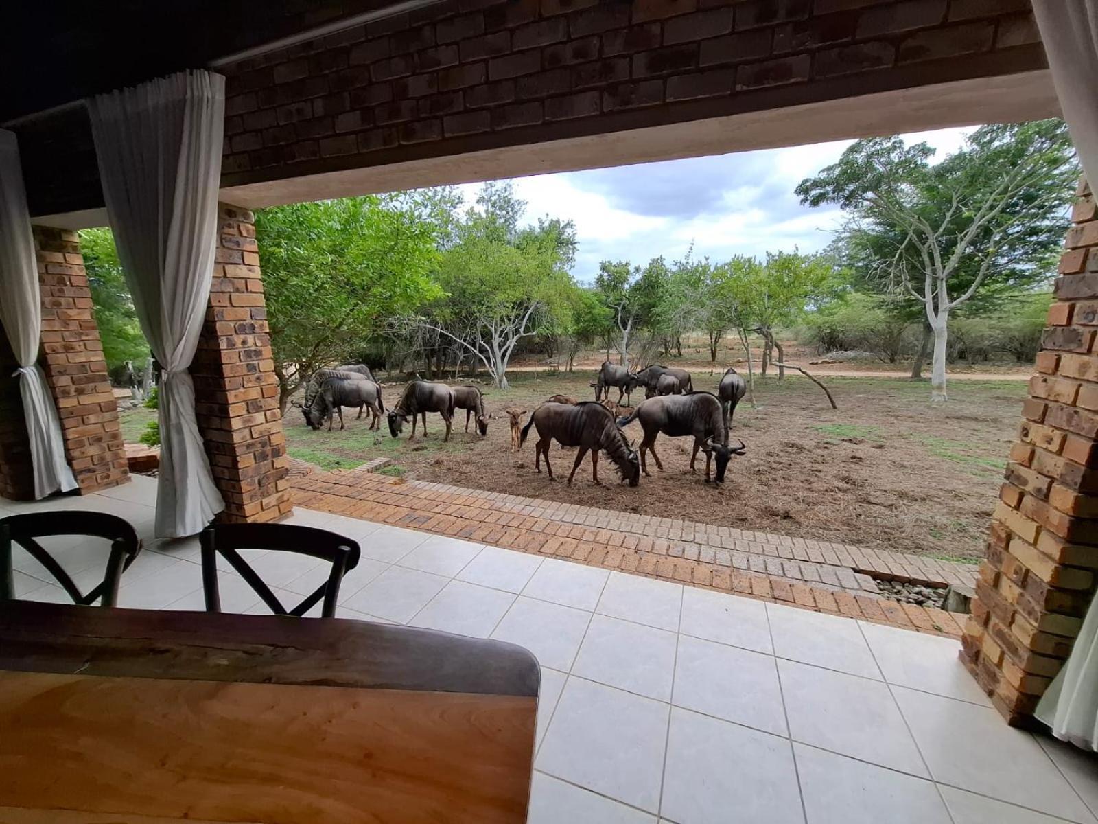 Kruger Riverside Lodge - No Load-Shedding 玛洛斯帕克 外观 照片