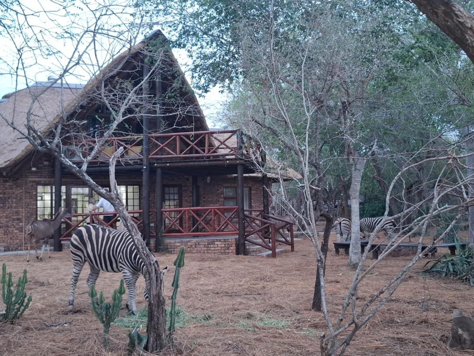 Kruger Riverside Lodge - No Load-Shedding 玛洛斯帕克 外观 照片