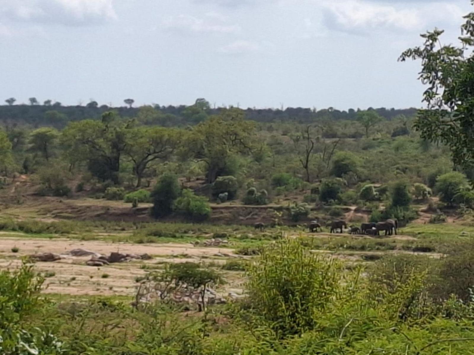 Kruger Riverside Lodge - No Load-Shedding 玛洛斯帕克 外观 照片