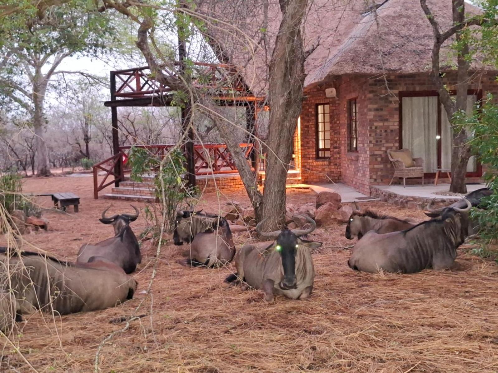 Kruger Riverside Lodge - No Load-Shedding 玛洛斯帕克 外观 照片