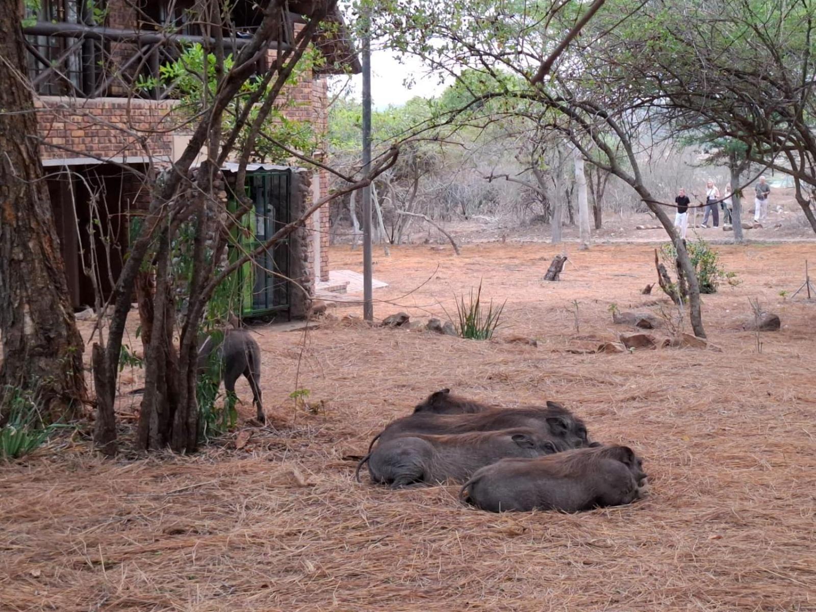 Kruger Riverside Lodge - No Load-Shedding 玛洛斯帕克 外观 照片