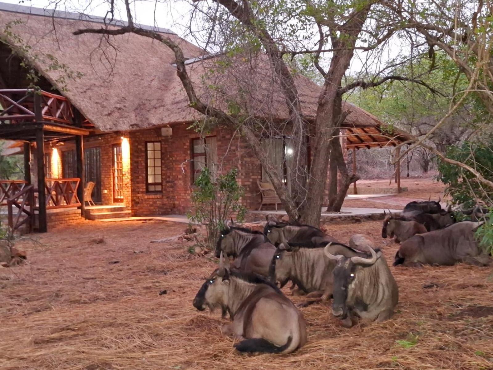 Kruger Riverside Lodge - No Load-Shedding 玛洛斯帕克 外观 照片