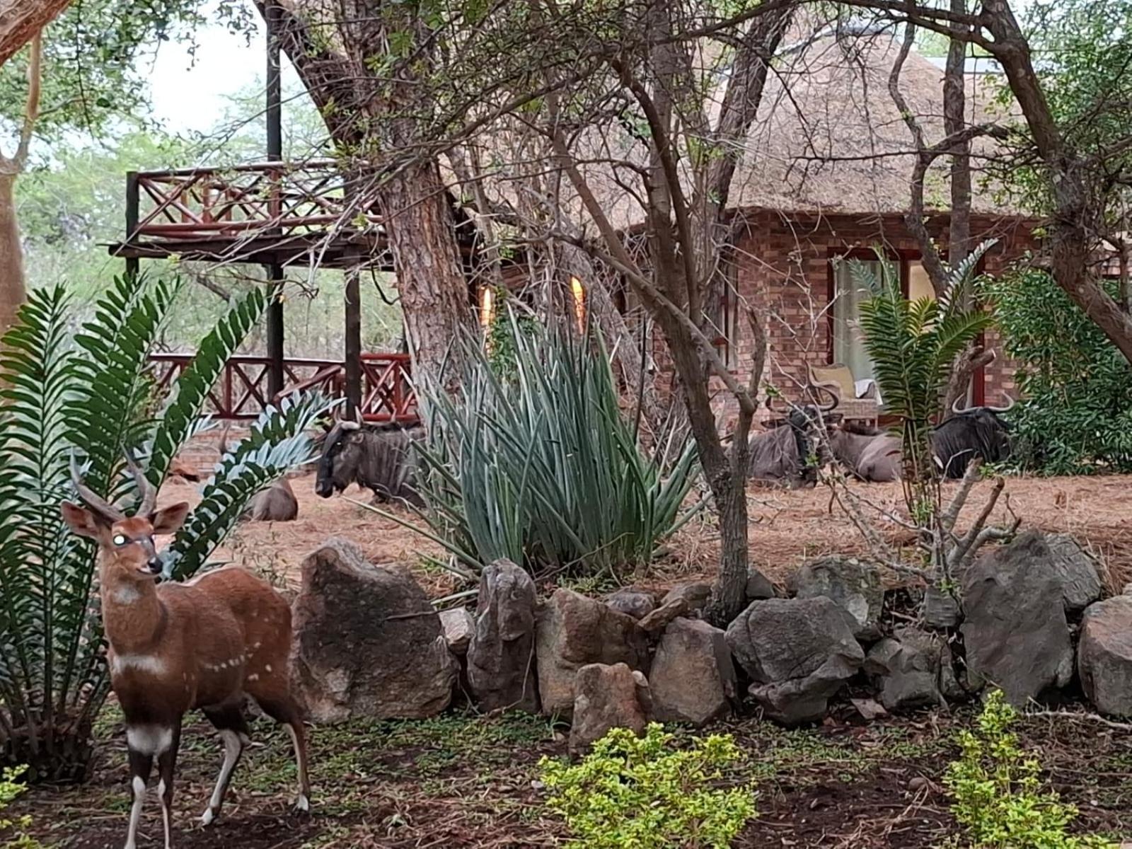 Kruger Riverside Lodge - No Load-Shedding 玛洛斯帕克 外观 照片