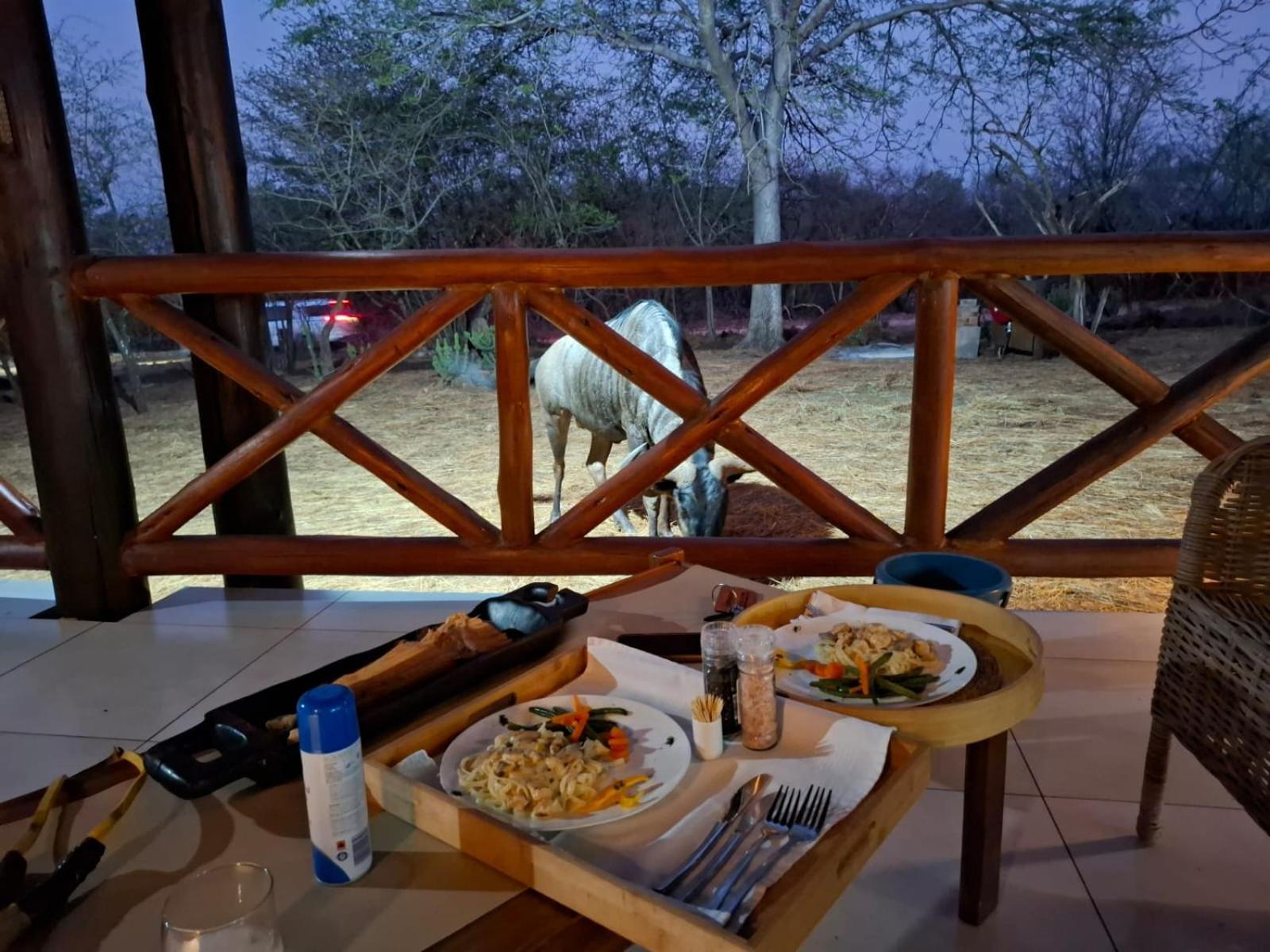 Kruger Riverside Lodge - No Load-Shedding 玛洛斯帕克 外观 照片